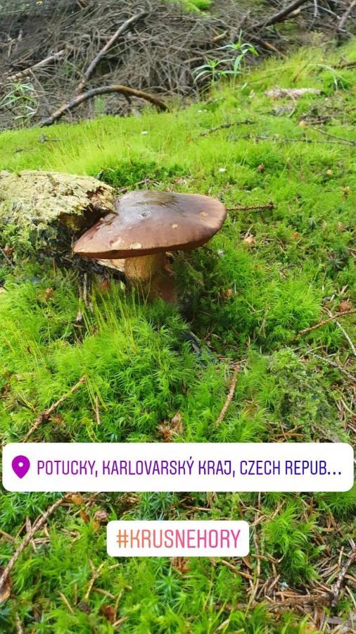 Apartmany Stran Potucky エクステリア 写真